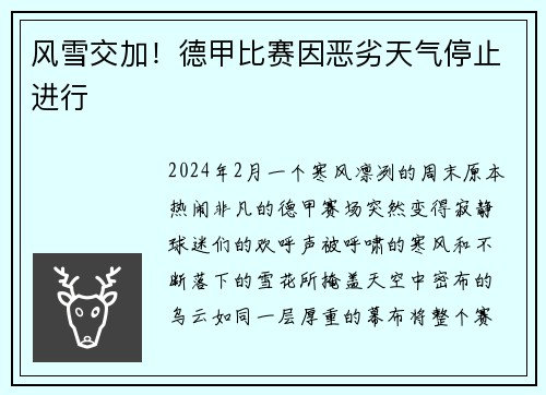 风雪交加！德甲比赛因恶劣天气停止进行